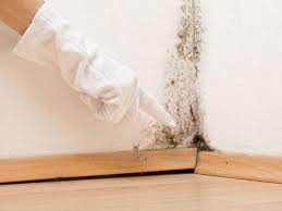 Why you should choose our mold remedi tion services in #city